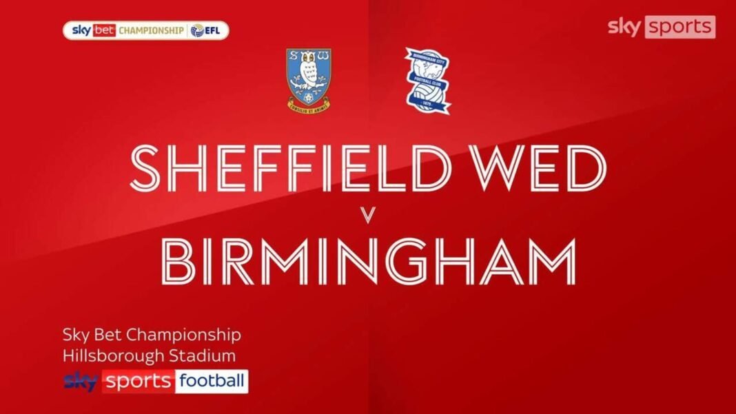 Sheffield Wednesday 2-0 Birmingham City | Championship highlights | Football News | Sky Sports