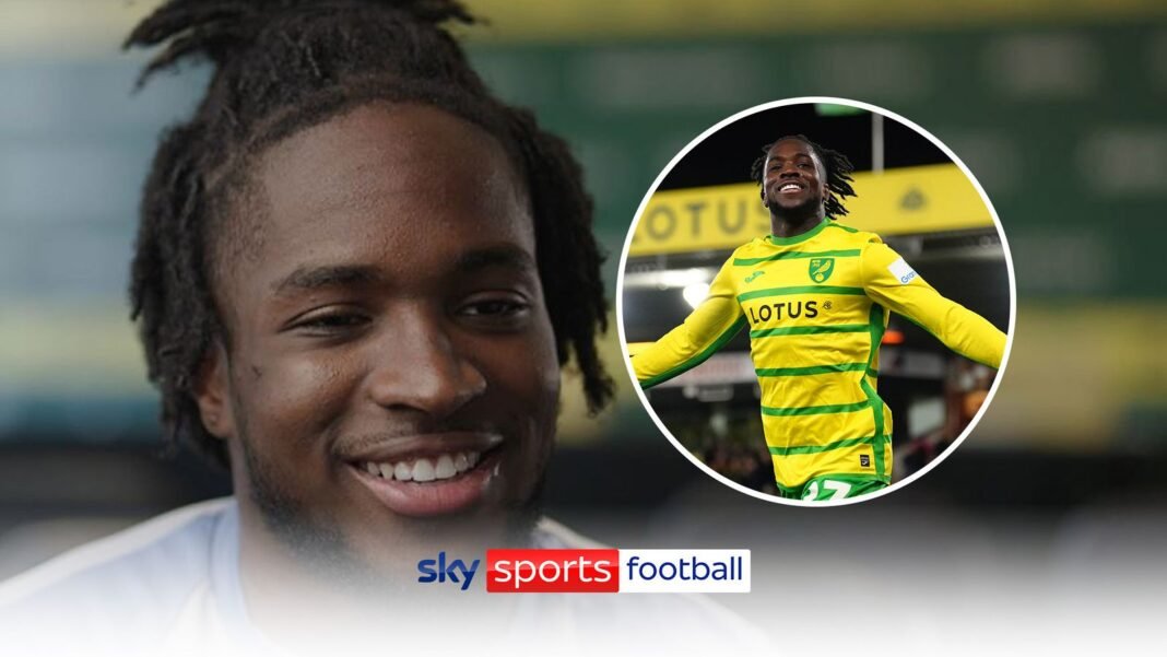 Jonathan Rowe: Norwich hopes, Ipswich rivalry and watching Torres | Football News | Sky Sports