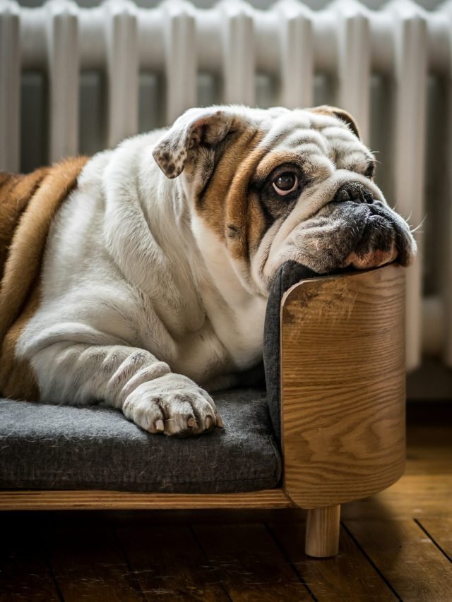 7 Signs of a Lazy Student that Parents Shouldn’t Miss