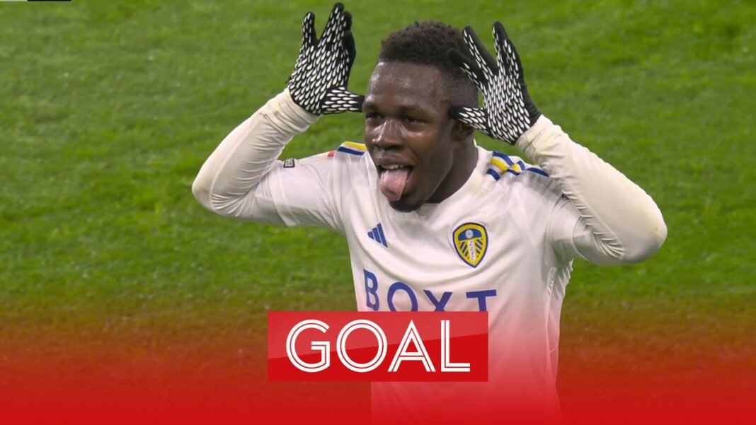 ‘He’s offside!’ | Controversy as Willy Gnonto gives Leeds lead again! | Football News | Sky Sports