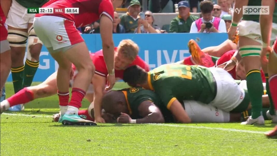Bongi Mbonambi powers over for the Springboks against Wales | Rugby Union News | Sky Sports