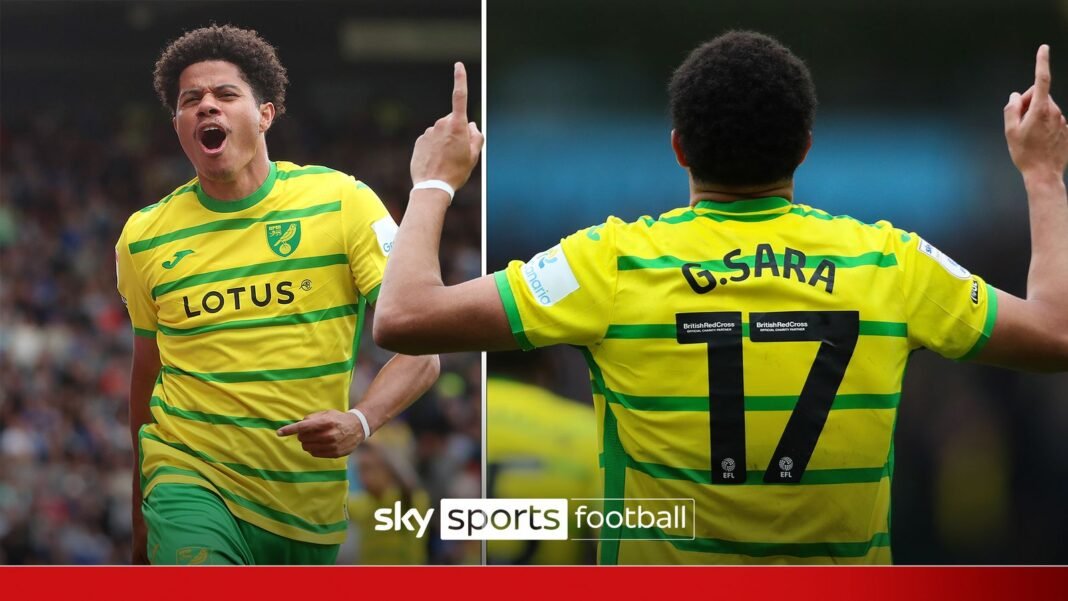 Norwich’s Brazilian star! | Gabriel Sara’s goals 2023-24 | Football News | Sky Sports