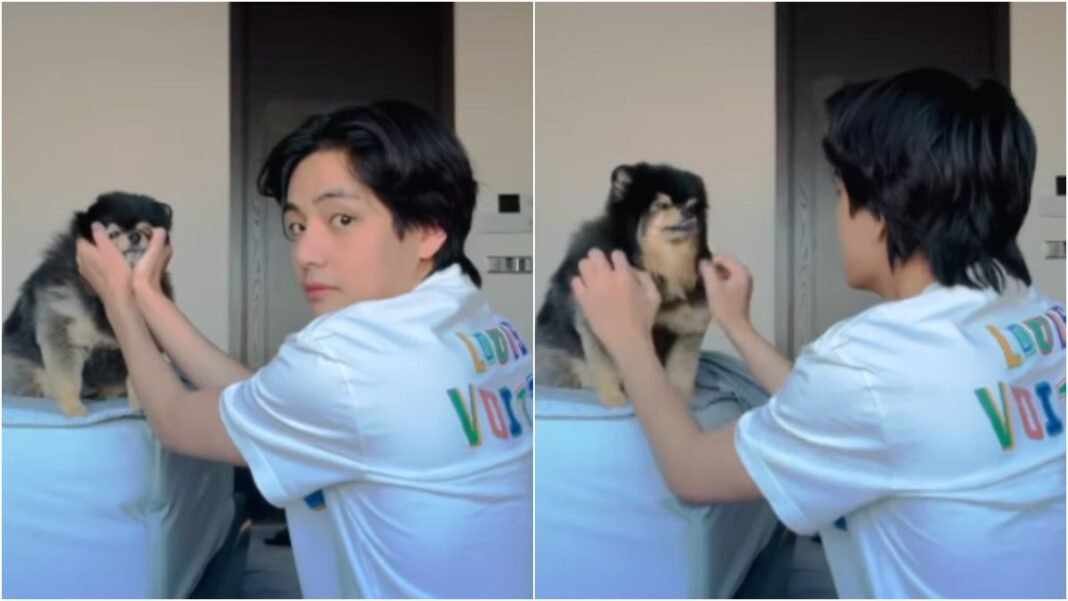 BTS’ V’s sweet moments with his puppy Yeontan