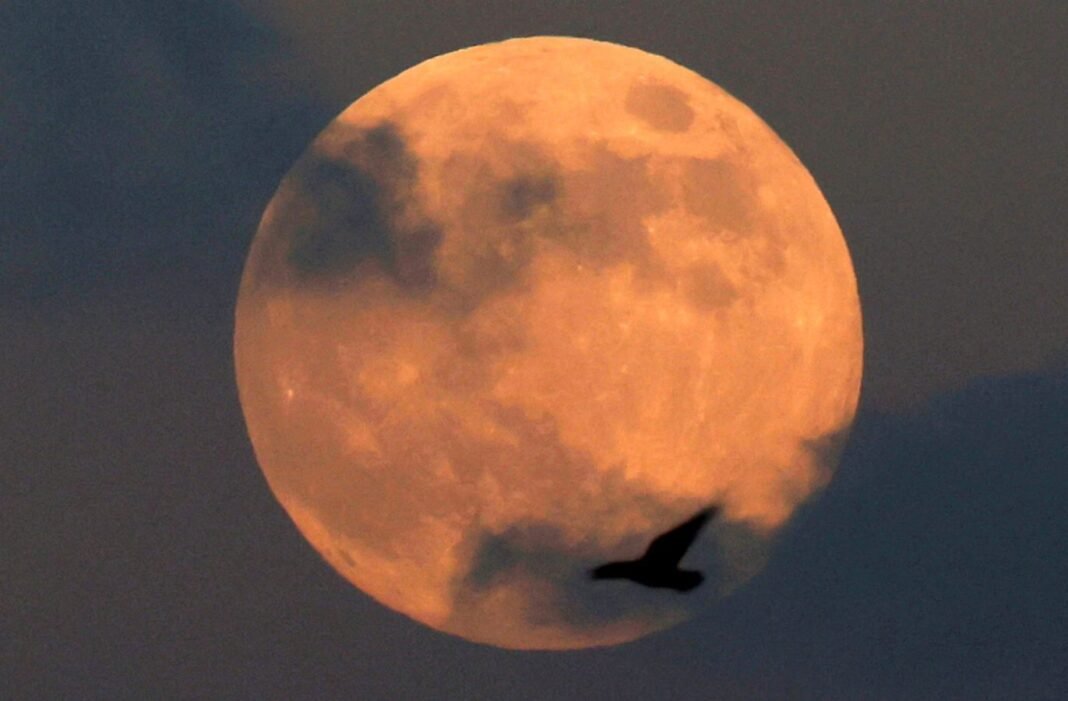 The last full Moon of 2024  in 10 pictures