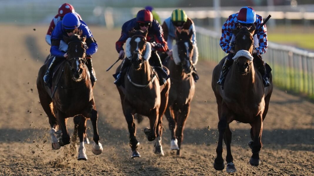 Today on Sky Sports Racing: Lingfield hosts eight-race all-weather card