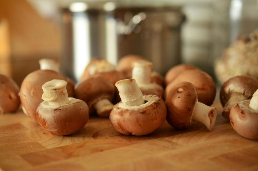 5 Ways to Identify Poisonous Mushrooms