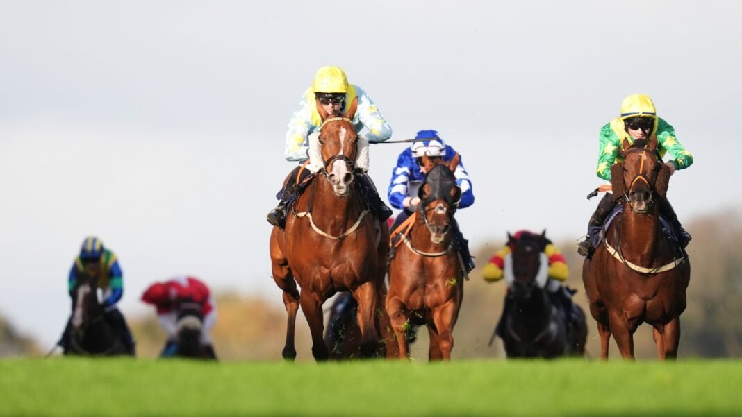 Today on Sky Sports Racing: Brighton and Wolverhampton