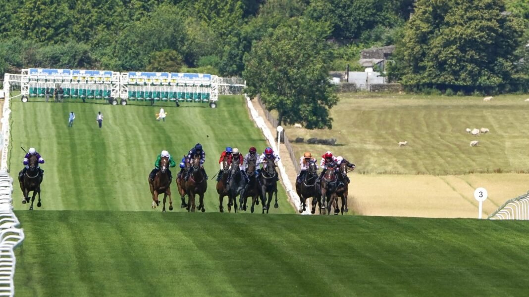 Today on Sky Sports Racing: Chepstow & Brighton in focus on Wednesday