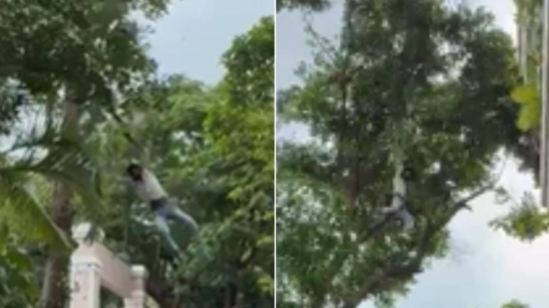 Drunk man falls from tree while stealing jackfruit in Bengaluru, injured
