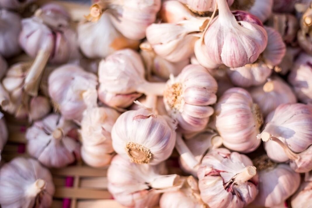 5 Benefits Of Consuming Garlic Every Morning