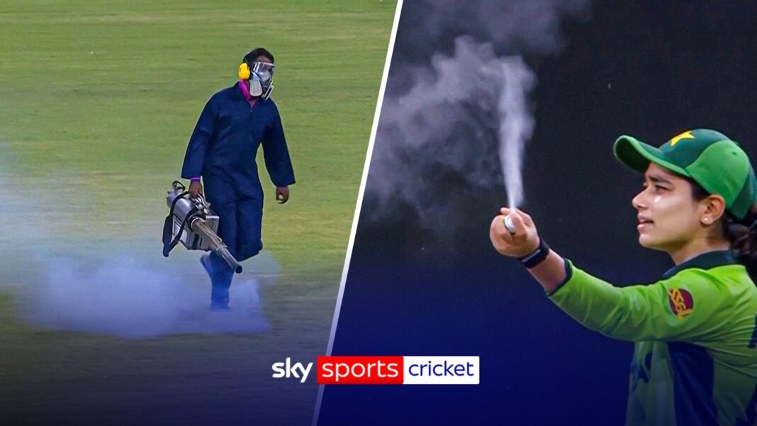Women’s Cricket World Cup: India vs Pakistan delayed due to bug problem