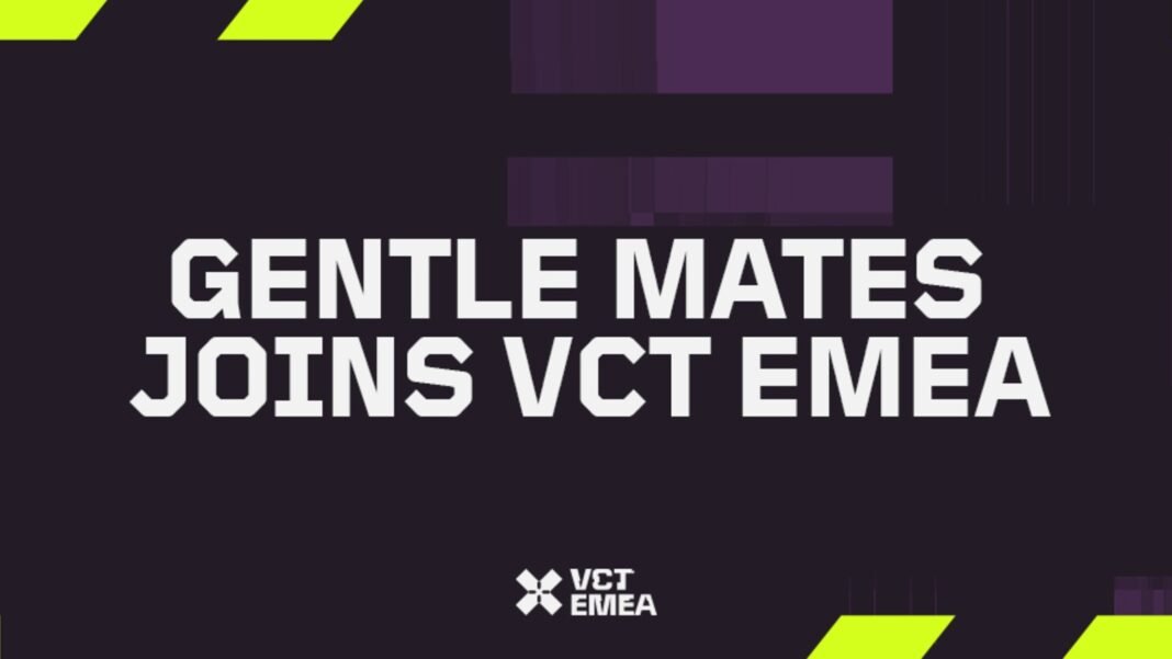 Gentle Mates Joins VCT EMEA Following Movistar KOI’s Removal From League