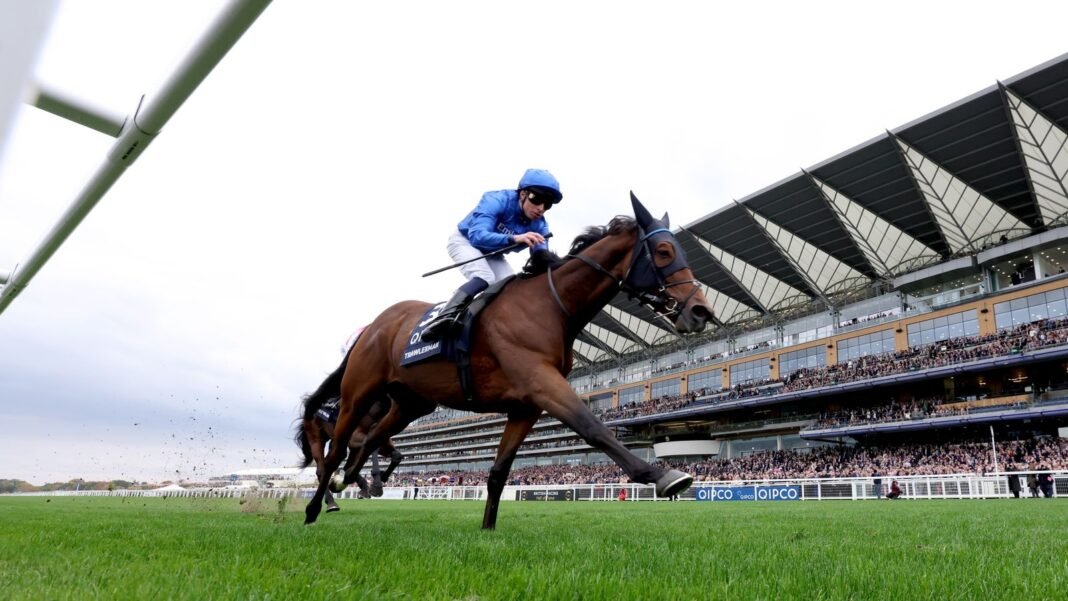 British Champions Day: Trawlerman scoops Long Distance Cup honours for Gosden team