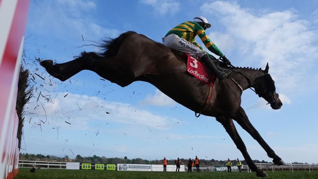Leopardstown: Majborough stamps his class on Dublin Chase for Willie Mullins