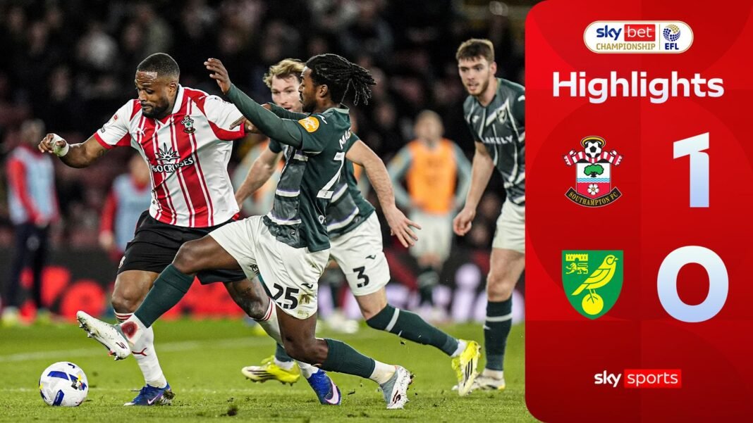 Southampton 1-0 Norwich | Championship highlights