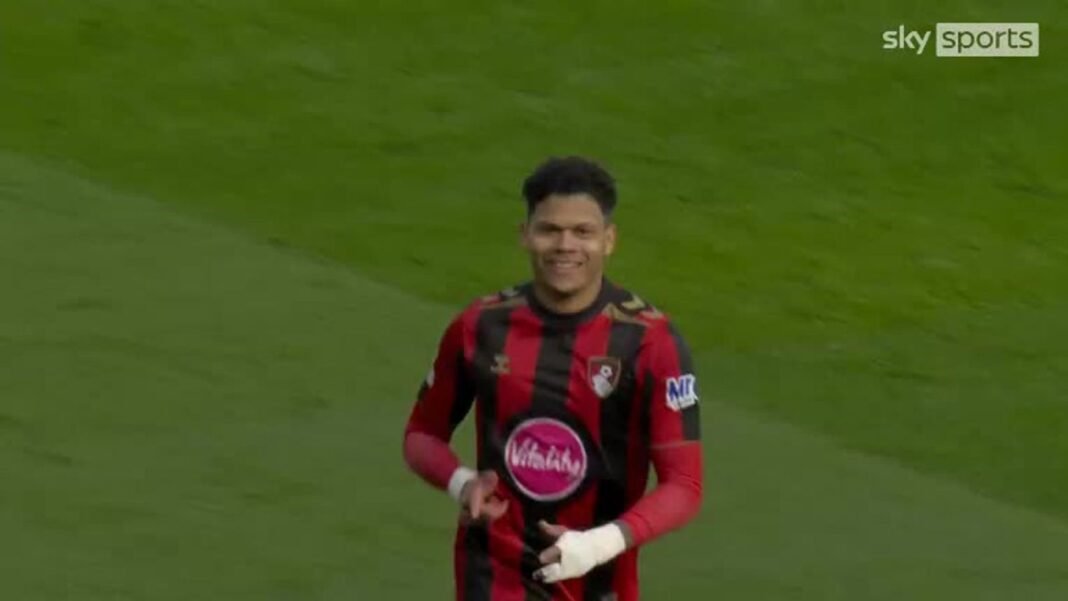 Bournemouth 2-0 Sunderland
